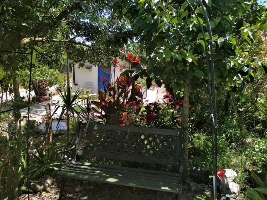 Vivienda Rural La Choza Villa เฮเรซ เด ลาฟรอนเตรา ภายนอก รูปภาพ